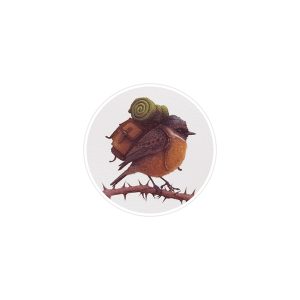 استیکر لپ تاپ ماسا دیزاین طرح پرنده مدل STK182