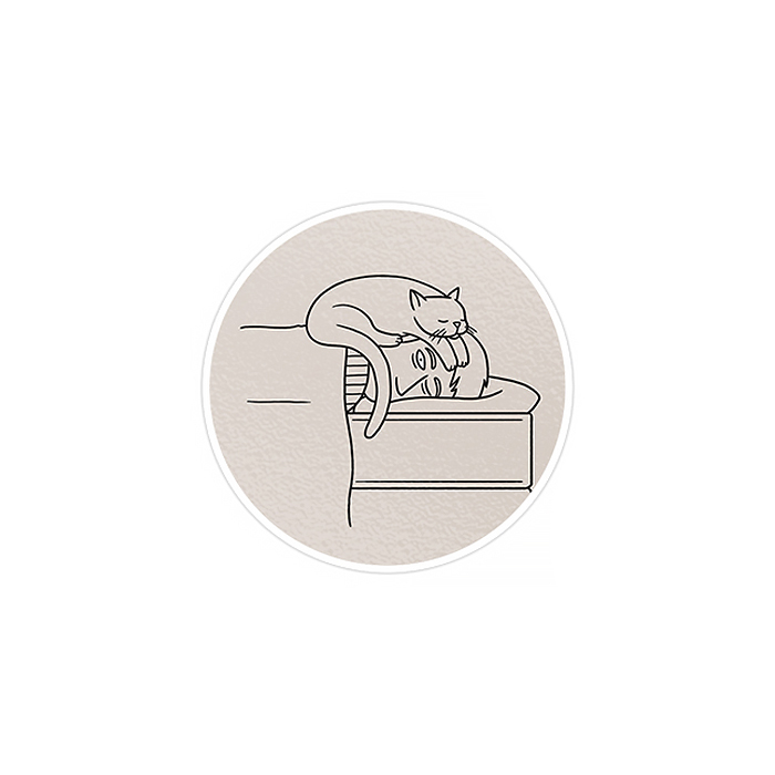 استیکر لپ تاپ ماسا دیزاین طرح گربه مدل STK753